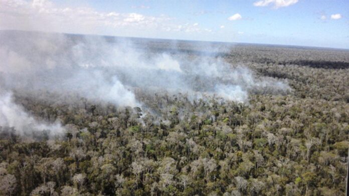 Operação Mata Atlântica em Pé é realizada em parceria com Abrampa com apoio de órgãos ambientais; Órgão Federal pede maior envolvimento de estados e municípios em combate a incêndios florestais