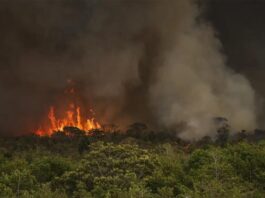 Recursos serão distribuídos a vários ministérios para medidas de combate as queimadas; Governo deve criar Conselho Nacional de Segurança Climática