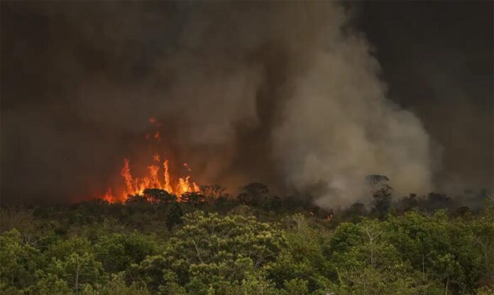 Sem Título-2 Recursos serão distribuídos a vários ministérios para medidas de combate as queimadas; Governo deve criar Conselho Nacional de Segurança Climática