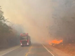 Fogo às margens da rodovia obrigou PRF a implementar sistema pare e siga para amenizar congestionamento; Saiba qual é a pena para quem provoca incêndio florestal