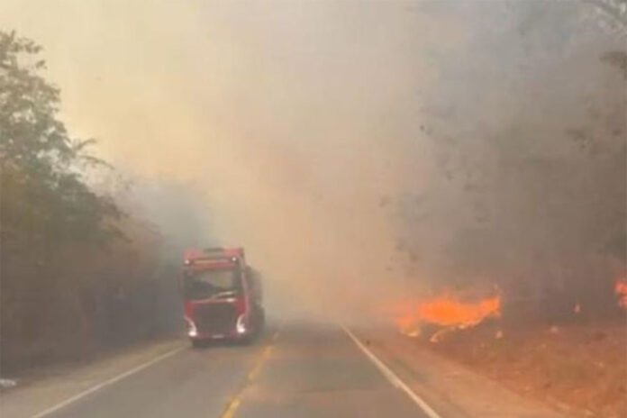 Fogo às margens da rodovia obrigou PRF a implementar sistema pare e siga para amenizar congestionamento; Saiba qual é a pena para quem provoca incêndio florestal