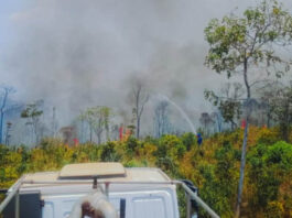 Incêndio florestal de grandes proporções mobiliza equipes de brigadistas e voluntários para conter chamas no Parque Salão de Pedras, um dos mais visitados atrativos de Conceição