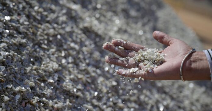 Em 25 de outubro de 2024, o conselho, composto por doze membros, deliberou e aprovou a solicitação da Atlas Lithium. No dia seguinte, a licença foi publicada no diário oficial do governo estadual, oficializando a permissão