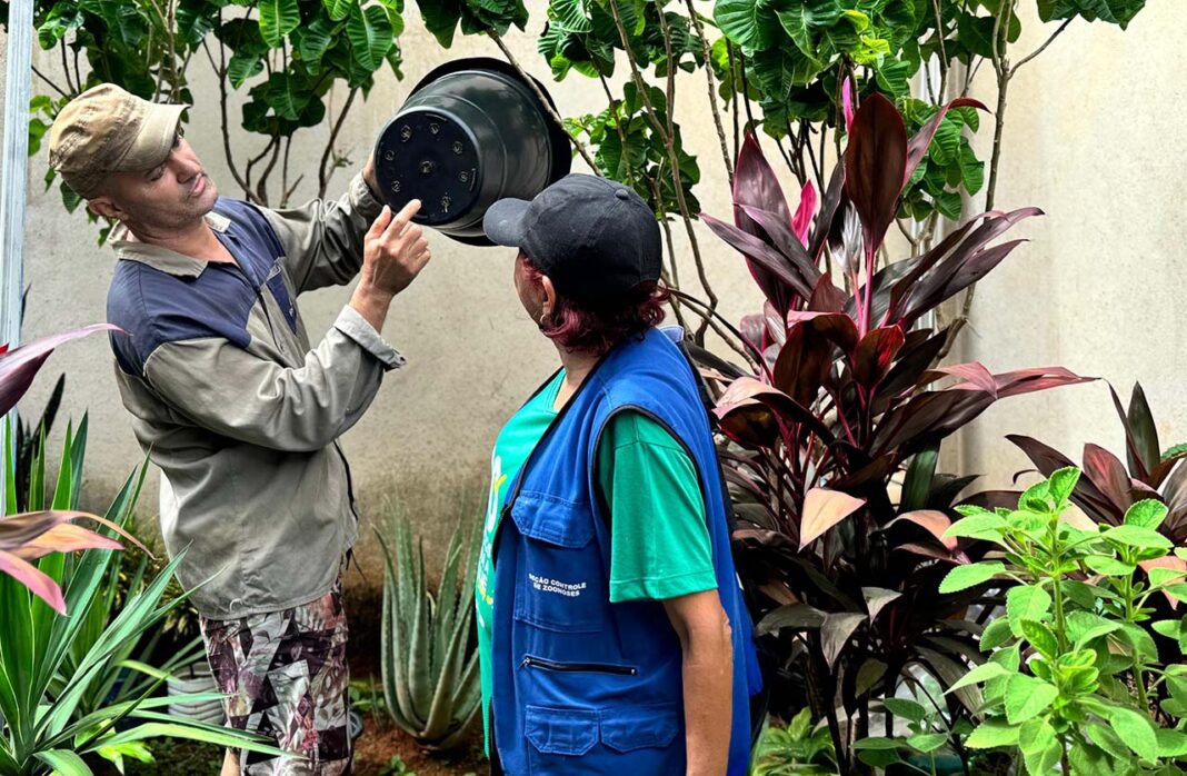 Ipatinga e João Monlevade ligaram o alerta contra a proliferação do Aedes aegypti, inseto transmissor de arboviroses como dengue, zica vírus e febre chikungunya
