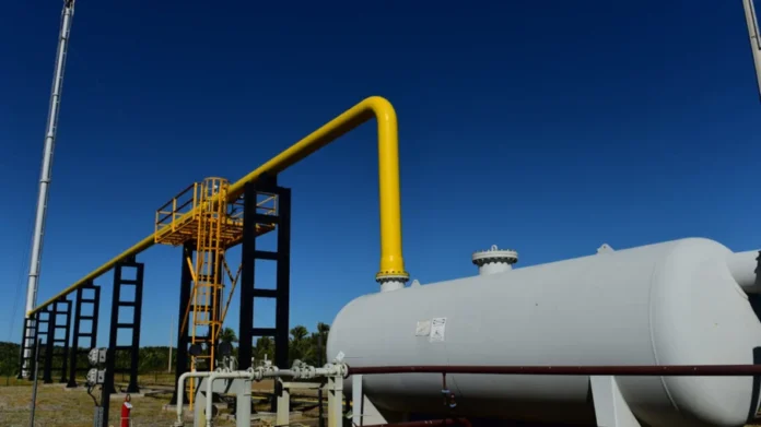 vale-gás-natural A mineradora Vale busca maior competitividade e sustentabilidade, com foco na transparência e flexibilidade do mercado livre de gás natural. Em 2024, o percentual de gás natural adquirido via mercado livre era de aproximadamente 20%