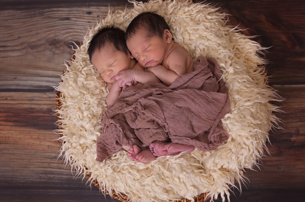 twins-1628843_1280 Os nomes