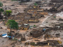 O estudo, que acompanha a saúde da população local de Brumadinho desde 2021, apontou que a porcentagem de crianças com níveis de arsênio acima do valor de referência aumentou de 42% em 2021 para 57% em 2023