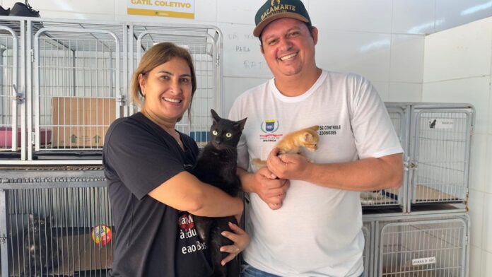Somente em 2024, Ipatinga contabilizou 125 adoções, além de 4.674 castrações e 28 cães atendidos pelo programa RED (Recolhidos, Esterilizados e Devolvidos ao local de origem).