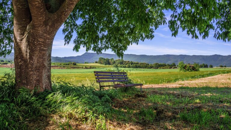 Turismo rural no Vale do Aço cresce com capacitação do Programa Agente de Turismo Rural e fortalece a economia local