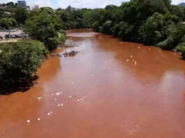 A pesquisa em cima da tragédia de Mariana e Brumadinho, realizada ao longo de três anos, teve como foco os riscos decorrentes da exposição a elementos-traço tóxicos como arsênio, cádmio, cromo, mercúrio, níquel, chumbo e zinco