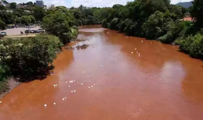 A pesquisa em cima da tragédia de Mariana e Brumadinho, realizada ao longo de três anos, teve como foco os riscos decorrentes da exposição a elementos-traço tóxicos como arsênio, cádmio, cromo, mercúrio, níquel, chumbo e zinco