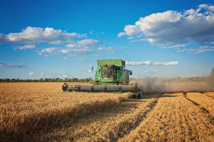 Apesar de uma retração de 24% no volume exportado, o agronegócio mineiro conseguiu um crescimento expressivo de 18% na receita em comparação ao mesmo período do ano anterior