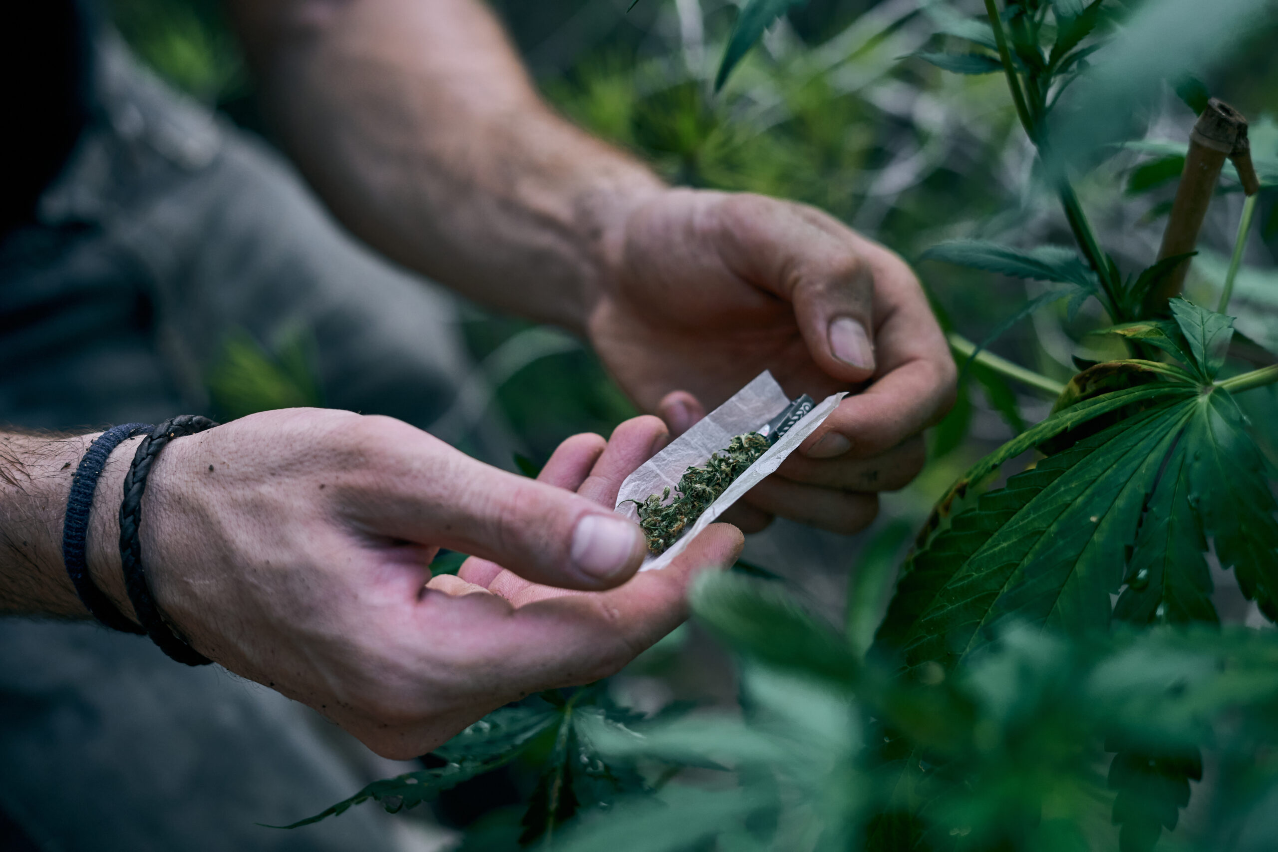 Com a implementação desta lei, Ipatinga dá um passo importante em direção ao combate ao uso de drogas em espaços públicos, com foco na proteção das futuras gerações e na promoção da saúde e segurança da comunidade