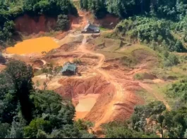 As áreas indígenas, como as dos povos Kayapó, Munduruku e Yanomami, são algumas das mais atingidas pelo garimpo ilegal, que além de causar danos ambientais, representa uma grave ameaça à sobrevivência dessas comunidades