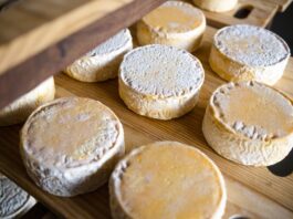 Os produtores locais conquistaram seis medalhas no 3º Mundial do Queijo do Brasil, reforçando a excelência e a relevância do Queijo Minas Artesanal no cenário nacional e internacional