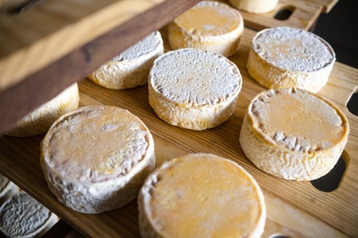 queijo-anglo Os produtores locais conquistaram seis medalhas no 3º Mundial do Queijo do Brasil, reforçando a excelência e a relevância do Queijo Minas Artesanal no cenário nacional e internacional