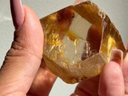 Com coloração marrom e elevado potencial comercial, a gema de diamante foi retirada de um terreno com Permissão de Lavra Garimpeira (PLG) ativa, o que garante legalidade à exploração
