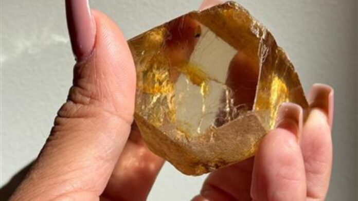 75g85ly72p3eg4iy5wzo8j9bd Com coloração marrom e elevado potencial comercial, a gema de diamante foi retirada de um terreno com Permissão de Lavra Garimpeira (PLG) ativa, o que garante legalidade à exploração