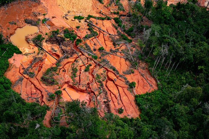 Com a Conferência das Nações Unidas sobre Mudanças Climáticas marcada para novembro de 2025, em Belém, o governo do Pará intensifica o discurso contra o garimpo ilegal