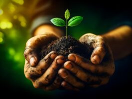Neste 5 de junho, no Dia Mundial do Meio Ambiente, Minas Gerais tem diante de si o desafio — e a oportunidade — de transformar sua relação com a mineração