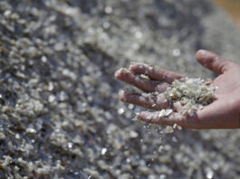No Brasil, Minas Gerais desponta como o principal polo do lítio, com três empresas em operação: CBL, AMG e Sigma Lithium.