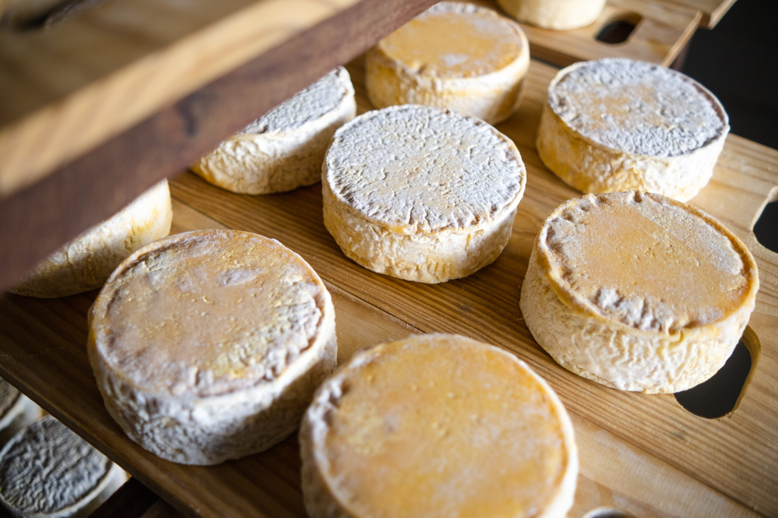 Programa Crescer O Queijo Minas Artesanal, reconhecido como Patrimônio Cultural Imaterial pela Unesco, se mantém vivo não só pela sua qualidade e história, mas também graças a iniciativas que promovem o desenvolvimento sustentável das comunidades.