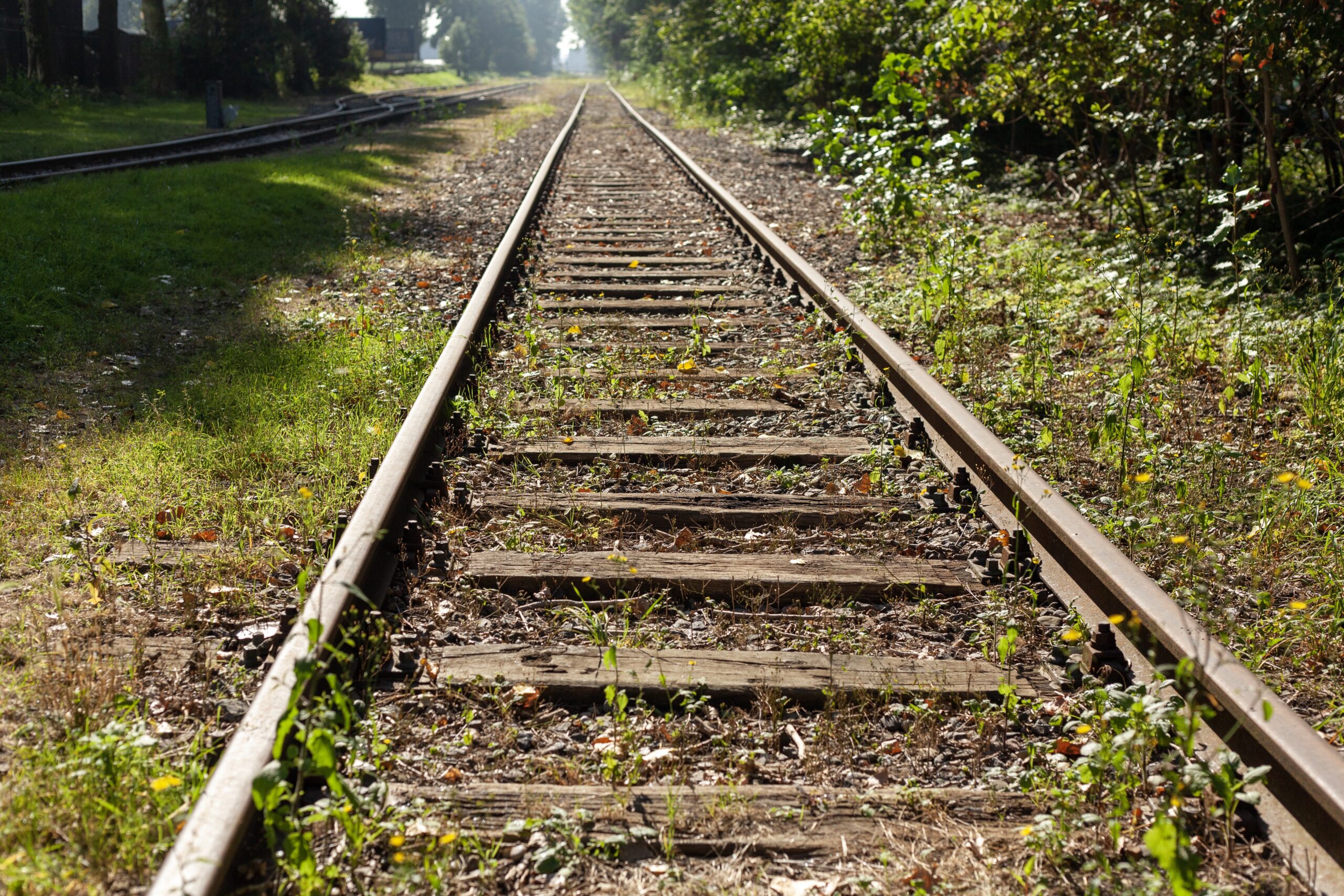 Beautiful shot of train tracks covered with grass during daytime O tema central da conversa foi a repactuação dos contratos de renovação das concessões das ferrovias na Estrada de Ferro Vitória a Minas (EFVM) e da Estrada de Ferro Carajás (EFC), ambas operadas pela mineradora Vale