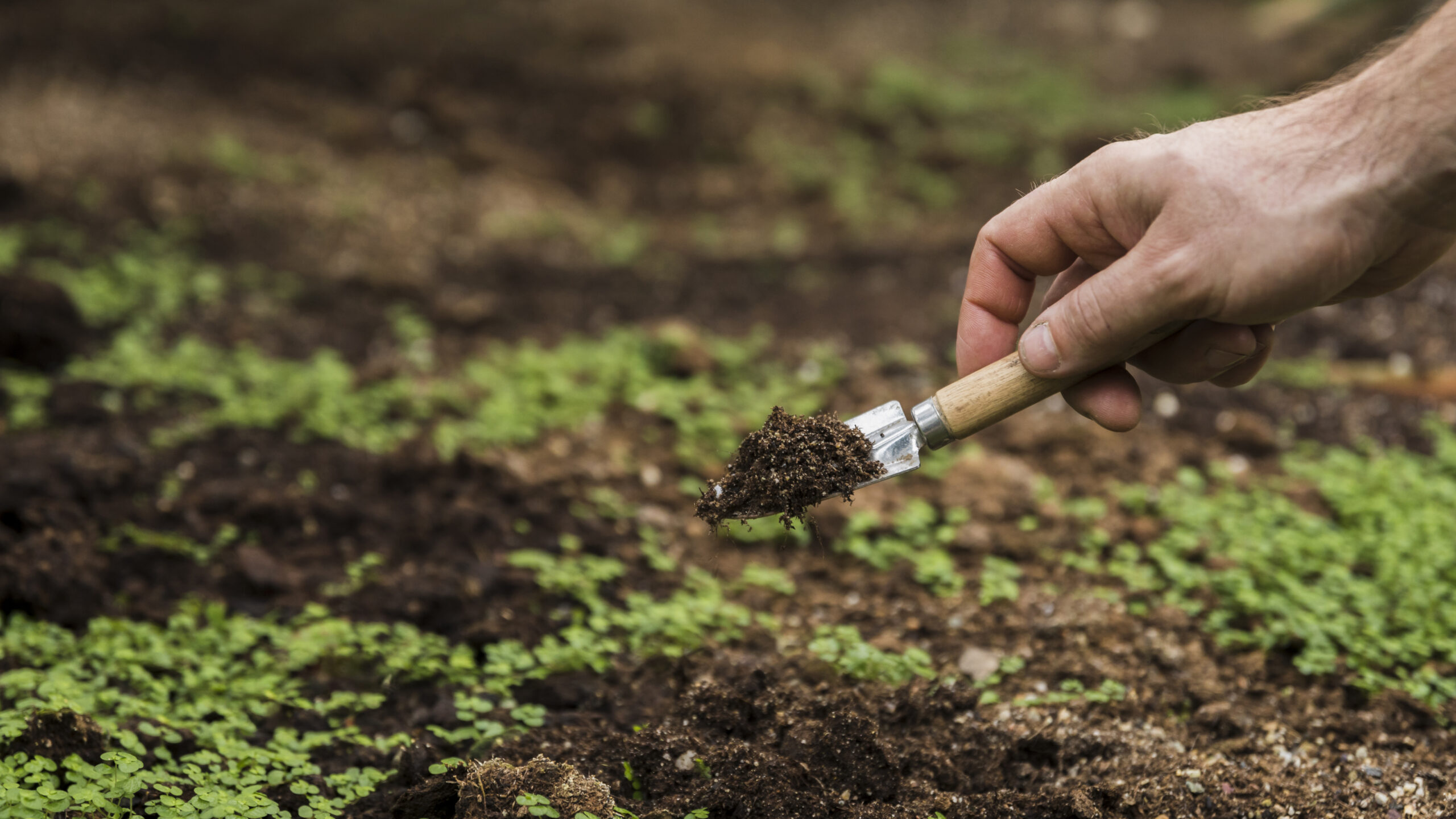 Com a ampliação prevista, a Tera Fertilizantes estima que a produção de fertilizantes aumente consideravelmente