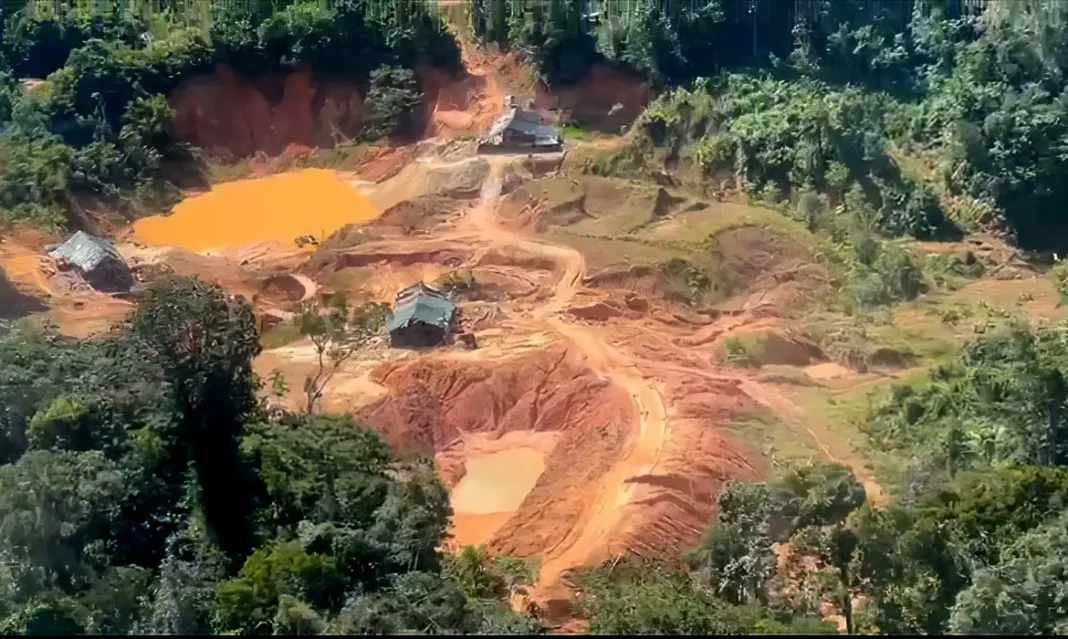 A expectativa é de que os dados sirvam de base para a formulação de políticas públicas e reforcem a necessidade urgente de ações de combate ao garimpo ilegal