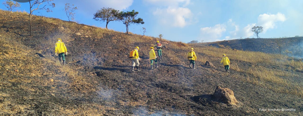3 (5) Os números são alarmantes. Apenas em julho de 2025, foram registrados 36 focos de incêndio, com a maior parte ocorrendo em áreas urbanas não protegidas e lotes vagos