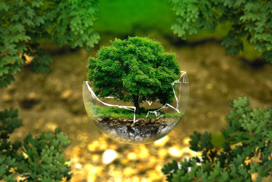environmental-protection-326923_1280 A nova Lei de Licenciamento Ambiental, que passou por uma ampla negociação e foi aprovada com o apoio de diversos setores da sociedade, tinha como principal objetivo trazer maior eficiência e previsibilidade ao processo de licenciamento no Brasil