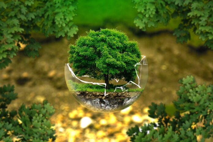 A nova Lei de Licenciamento Ambiental, que passou por uma ampla negociação e foi aprovada com o apoio de diversos setores da sociedade, tinha como principal objetivo trazer maior eficiência e previsibilidade ao processo de licenciamento no Brasil