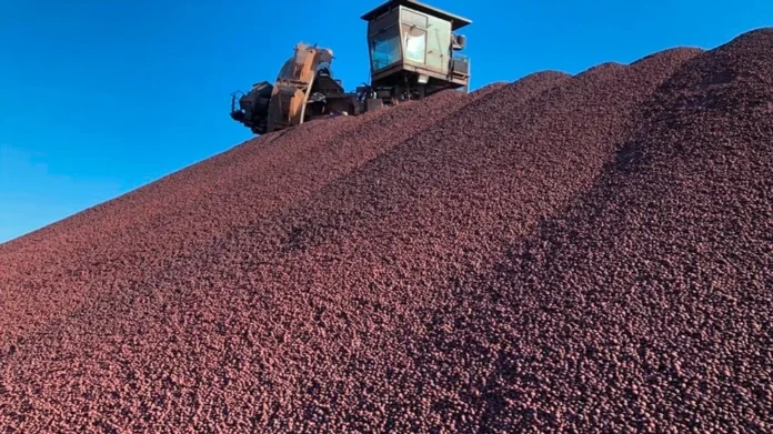Itabira teria deixado de receber cerca de R$ 199 milhões, Mariana perdeu R$ 142 milhões, Congonhas cerca de R$ 22 milhões e Brumadinho R$ 20 milhões no período analisado