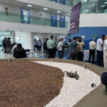 IMG 6929 1