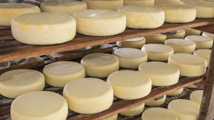 queijo-de-minas Com tantas medalhas, o Mondial du Fromage consolidou ainda mais a posição do Brasil como um dos principais produtores e exportadores de queijos e derivados lácteos