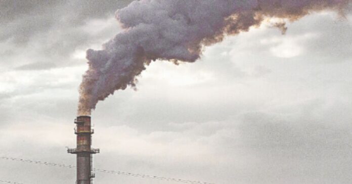 IMG_4534 Com a maior queda em mais de uma década, o Brasil registrou em 2024 uma redução de 16,7% nas emissões de gases do efeito estufa, resultado de avanços no combate ao desmatamento.