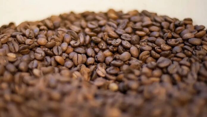Maior produtor e exportador de café, o Brasil fornece aos Estados Unidos cerca de um terço de seus grãos