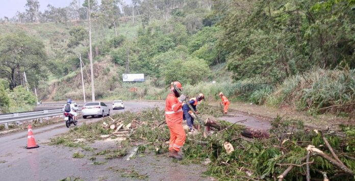 chuva terça (1) Uma chuva intensa e ventos fortes atingiram Ipatinga nesta terça-feira, 25 de novembro, causando danos materiais. A Defesa Civil alerta para mais precipitações nos próximos dias.