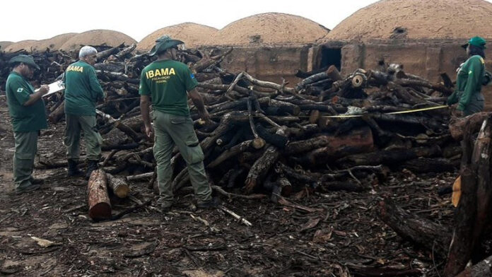 Siderúrgica é multada em R$ 75 milhões por receber carvão vegetal sem comprovação de origem, após operação do Ibama. Decisão reforça combate a crimes ambientais e fraudes no setor florestal.