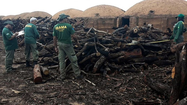 unnamed (12) Siderúrgica é multada em R$ 75 milhões por receber carvão vegetal sem comprovação de origem, após operação do Ibama. Decisão reforça combate a crimes ambientais e fraudes no setor florestal.