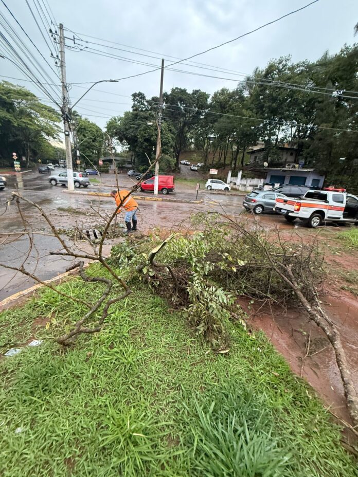 Tempestade atinge João Monlevade, causando quedas de árvores, deslizamentos de terra e deixando 5 mil clientes sem energia. Equipes trabalham para restabelecer serviços e prestar assistência às famílias afetadas.