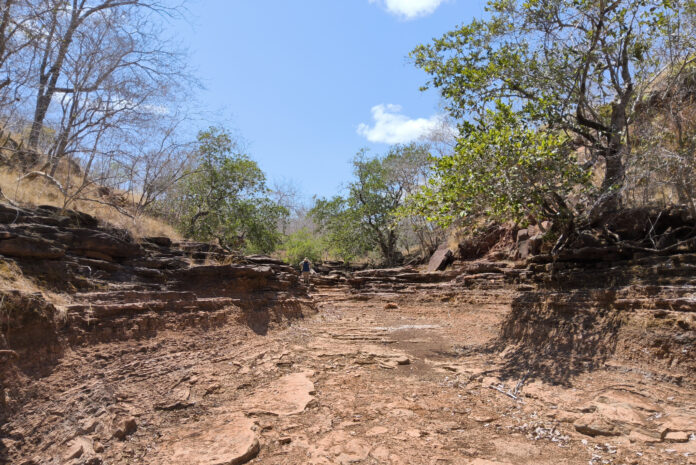 Estudo do Serviço Geológico do Brasil revela altas concentrações de fosfato, urânio e terras raras no leste do Piauí, com potencial para exploração mineral