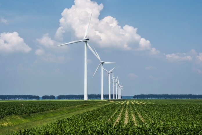 Beautiful view of the wind turbines on a grass covered field captured in Holland Elementos de terras raras, como neodímio e praseodímio, são essenciais para aumentar a eficiência das turbinas eólicas, acelerando a transição energética. Conheça os desafios e as oportunidades dessa tecnologia