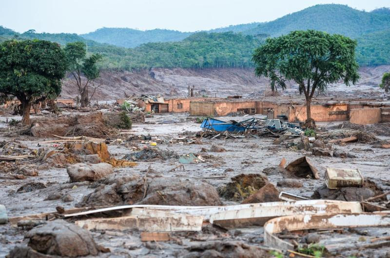 Estudo revela que plantas nativas de Mariana conseguiram resistir à contaminação provocada pelo desastre de Fundão. Pesquisadores apontam como essas espécies podem ser usadas na recuperação ambiental, mas alertam para riscos à saúde