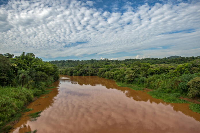 Ministério Público Federal solicita bloqueio de R$ 60 milhões da Vale para financiar estudos sobre contaminação do Rio Cateté e crise sanitária entre os indígenas Xikrin no Pará
