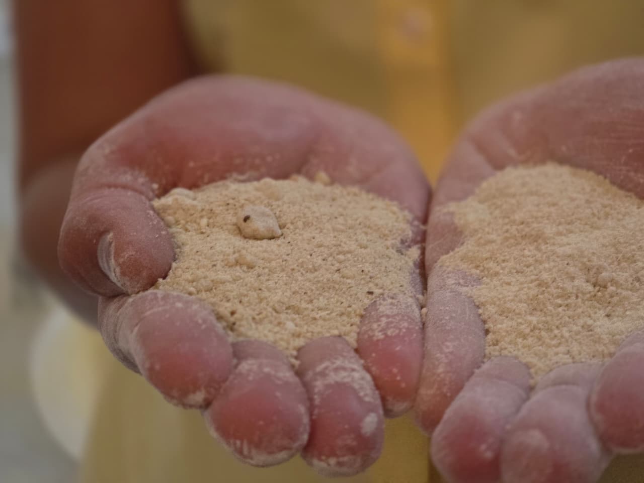Minas Gerais estrutura cadeia produtiva da mandioca para abastecer a mineração e impulsionar o desenvolvimento dos territórios 1 Projeto Raiz Viva conecta agricultura, indústria e mineração para gerar renda local e fortalecer uma nova estratégia de diversificação econômica no estado