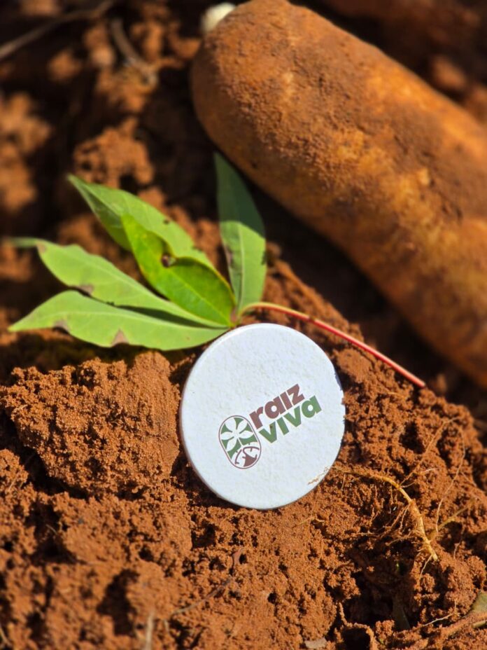 ACERVO RAIZ VIVA (2) Minas Gerais estrutura cadeia produtiva da mandioca para abastecer a mineração e impulsionar o desenvolvimento dos territórios
