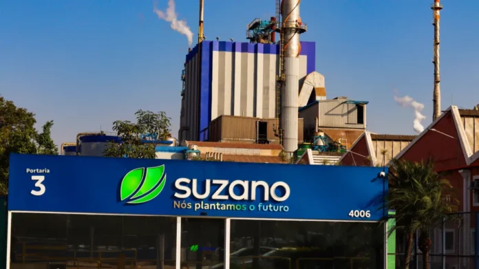 Suzano propõe incluir mineração em suas atividades, com foco na extração de basalto, e decisão será votada em assembleia no dia 23 de abril