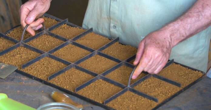 Projeto de terras-raras prevê produção de até 10 mil toneladas por ano, com reservas estimadas em 3% do estoque global e potencial para impulsionar a indústria de fertilizantes e tecnologia na região.