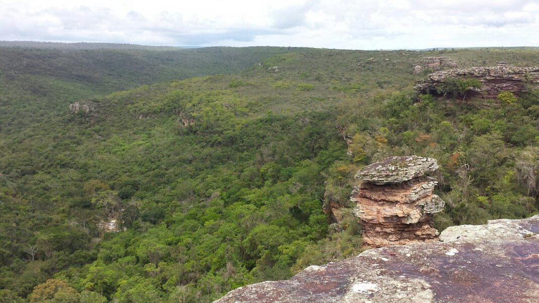 Itabira cria a Reserva Biológica Morro do Chapéu para proteger a biodiversidade e reforçar políticas ambientais sustentáveis no município
